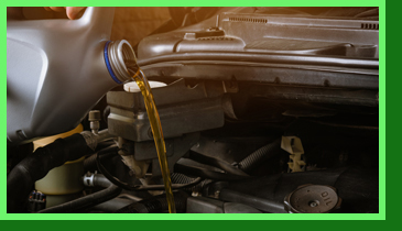Oil Change & Fluid Check